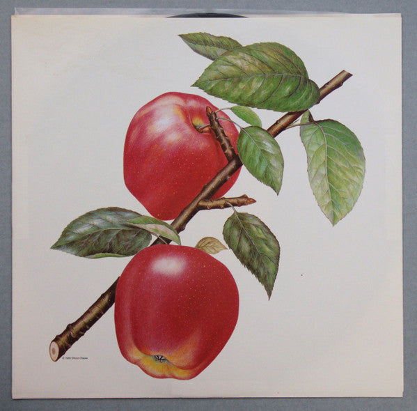 The Rolling Stones : Undercover (LP, Album, SP )