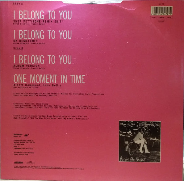 Whitney Houston : I Belong To You (12", Single)