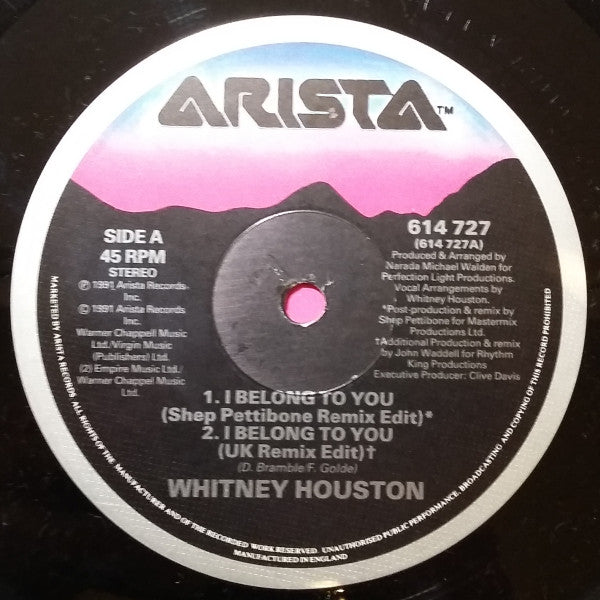 Whitney Houston : I Belong To You (12", Single)
