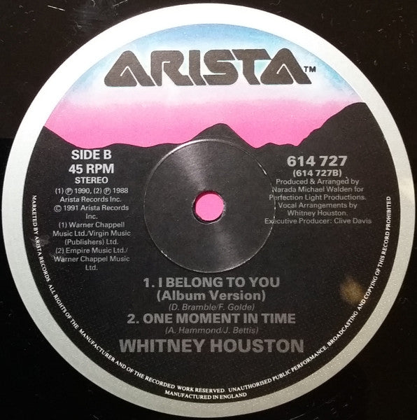 Whitney Houston : I Belong To You (12", Single)