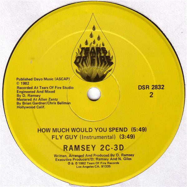 Ramsey 2C-3D : Fly Guy And The Unemployed (12")