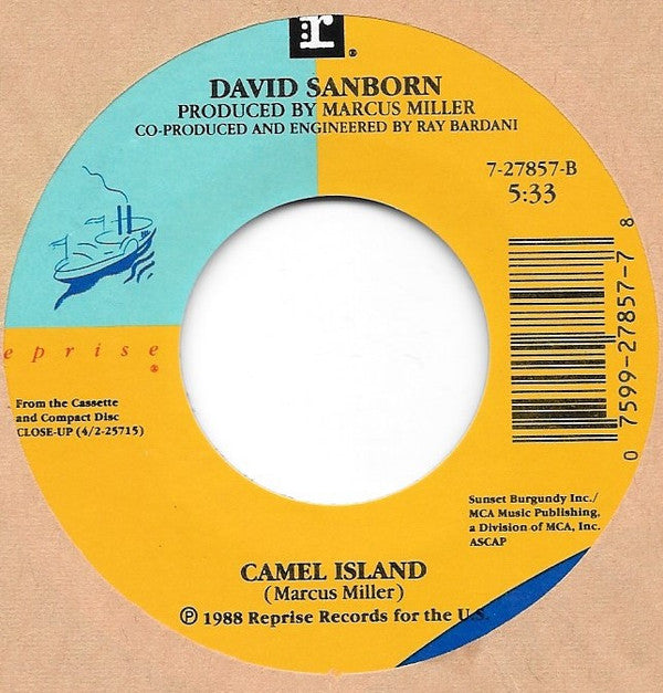 David Sanborn : Slam (7")