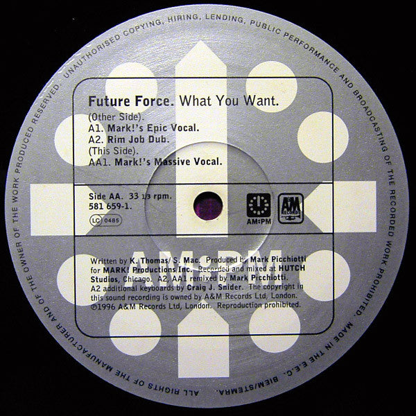 Future Force : What You Want (Mark Picchiotti Mixes) (12", One)