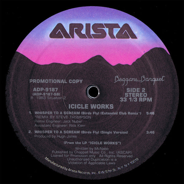 The Icicle Works : Whisper To A Scream (Birds Fly) (12", Single, Promo)