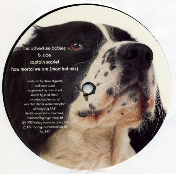 The Adventure Babies : Barking Mad (12")