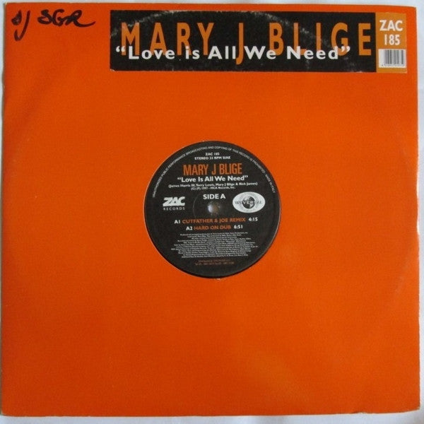 Mary J. Blige : Love Is All We Need (12")