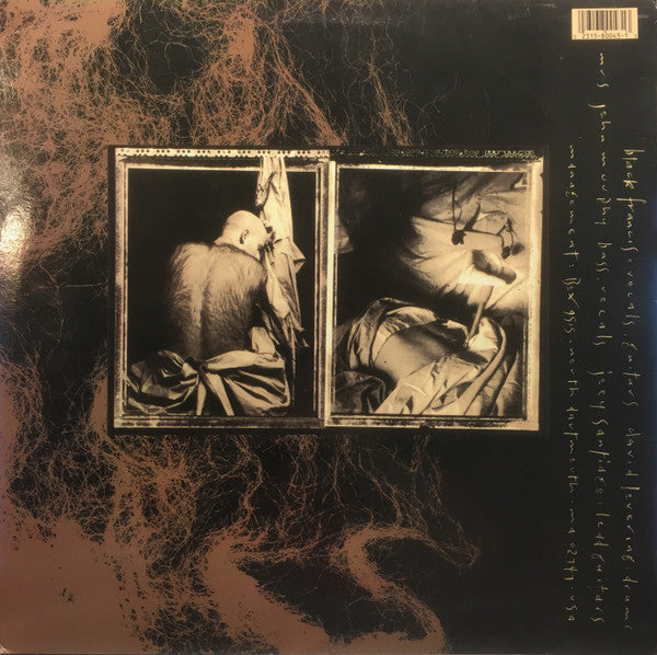 Pixies : Come On Pilgrim (LP, MiniAlbum)
