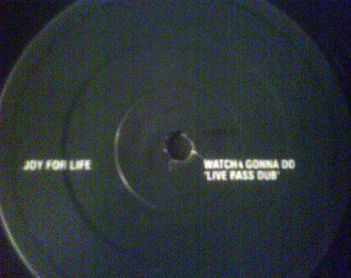 Joy For Life : Watcha Gonna Do (The Dub Mixes) (12")