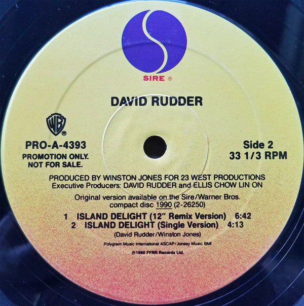 David Rudder Duet With Margareth Menezes : Dark Secret (12", Promo)