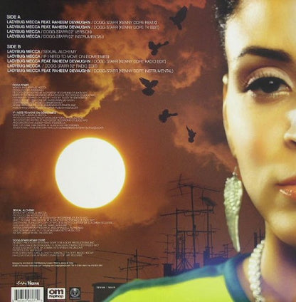 Ladybug Mecca : Dogg Starr (12")