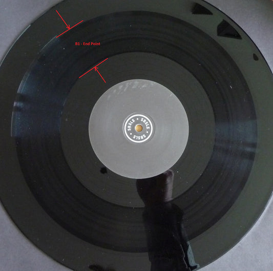 Sam Binga ft. Warrior Queen / Pev* & Kowton : Wasted Days (Sully Remix) / End Point (Sam Binga Remix) (12", RP)