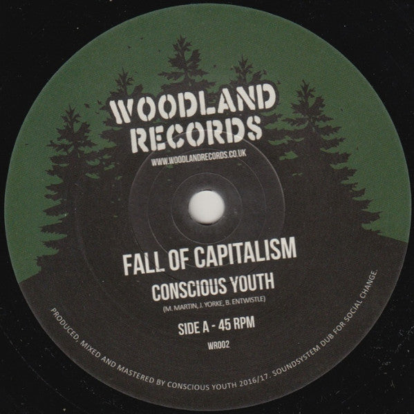 Conscious Youth (2) : Fall Of Capitalism (7", Single)
