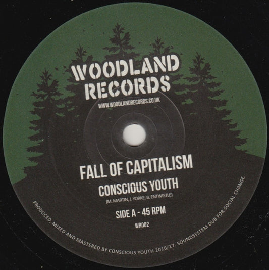 Conscious Youth (2) : Fall Of Capitalism (7", Single)