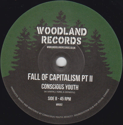 Conscious Youth (2) : Fall Of Capitalism (7", Single)