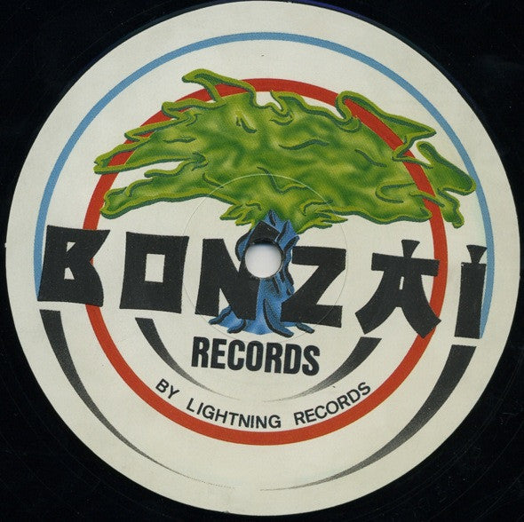 Traxcalibur : The Dreamer (12")