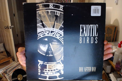 Exotic Birds : Day After Day (12", Maxi)