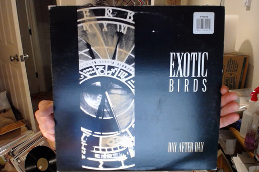 Exotic Birds : Day After Day (12", Maxi)