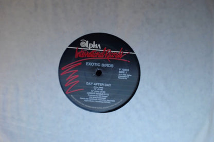 Exotic Birds : Day After Day (12", Maxi)