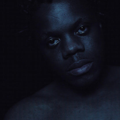 Blue Daisy : Darker Than Blue (LP, Album)