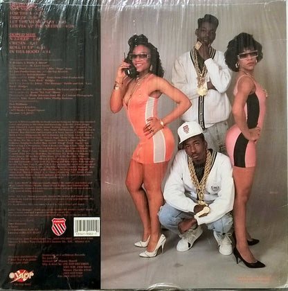Success-N-Effect* : In Tha Hood (LP, Album)