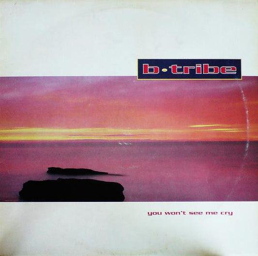 B-Tribe : You Won't See Me Cry (12")