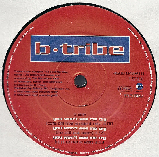 B-Tribe : You Won't See Me Cry (12")
