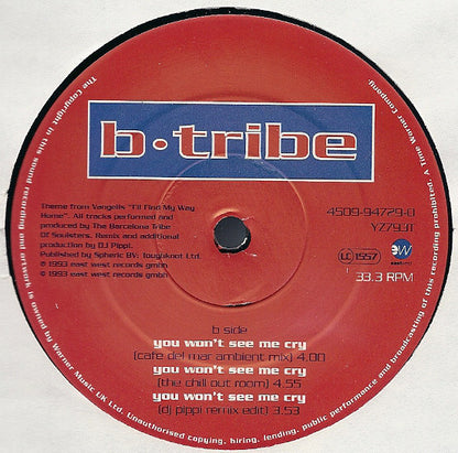 B-Tribe : You Won't See Me Cry (12")