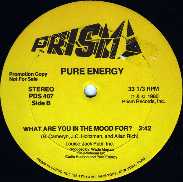 Pure Energy : When You're Dancin' (12", Single, Promo)