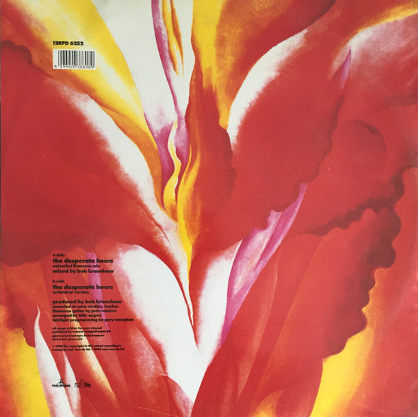 Marc Almond : The Desperate Hours - Extended Flamenco Mix (12", Single, Pic)