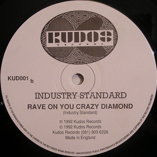 Industry Standard : Rave On (12")