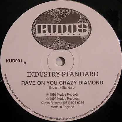 Industry Standard : Rave On (12")