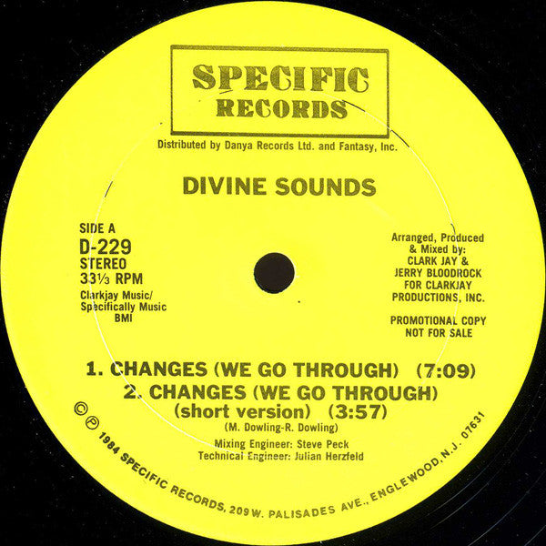Divine Sounds : Changes / Do Or Die Bed Sty (12", Promo)