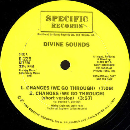 Divine Sounds : Changes / Do Or Die Bed Sty (12", Promo)