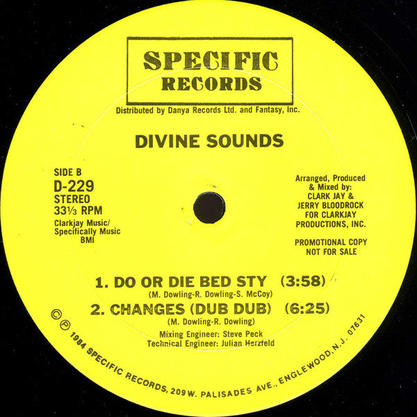 Divine Sounds : Changes / Do Or Die Bed Sty (12", Promo)