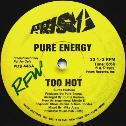 Pure Energy : Too Hot (12", Promo)