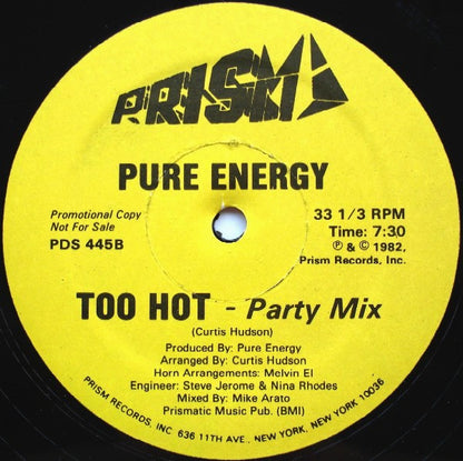 Pure Energy : Too Hot (12", Promo)