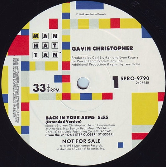 Gavin Christopher : Back In Your Arms (12", Promo)
