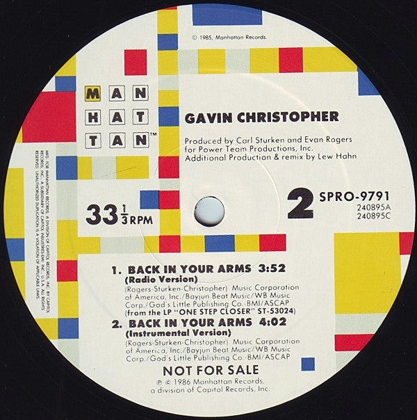 Gavin Christopher : Back In Your Arms (12", Promo)