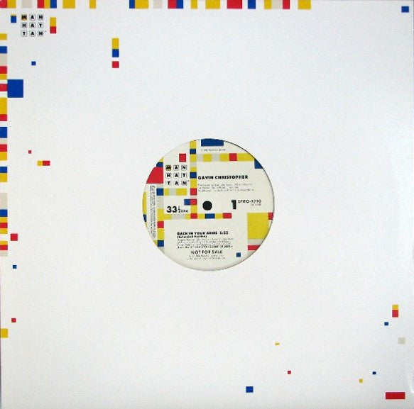 Gavin Christopher : Back In Your Arms (12", Promo)