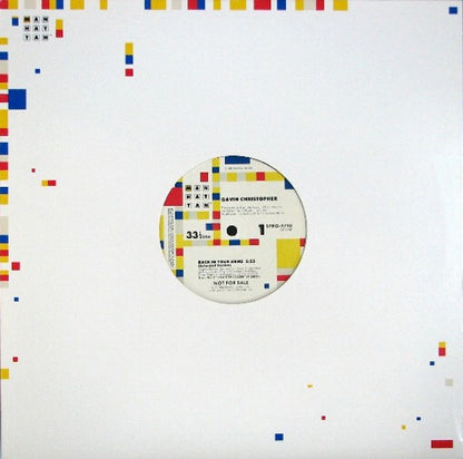 Gavin Christopher : Back In Your Arms (12", Promo)