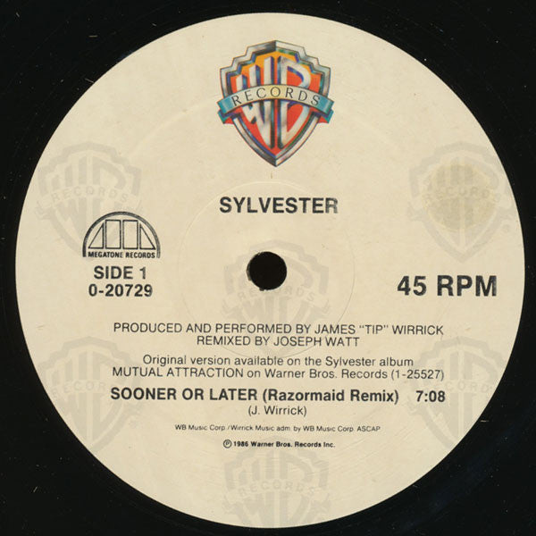 Sylvester : Sooner Or Later (12", Maxi)