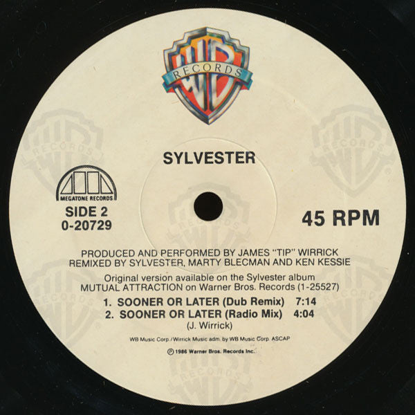 Sylvester : Sooner Or Later (12", Maxi)