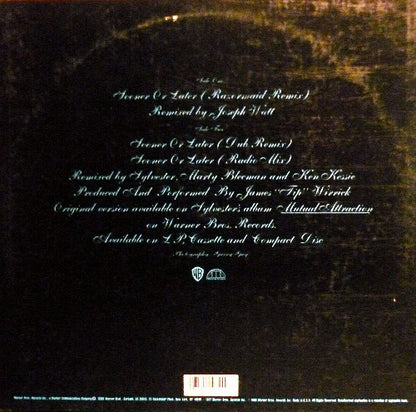 Sylvester : Sooner Or Later (12", Maxi)
