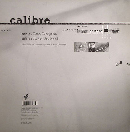 Calibre : Deep Everytime / What You Need (12", Smplr)