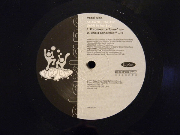 Shawnee Taylor : Spirit In My Soul (12", Promo)
