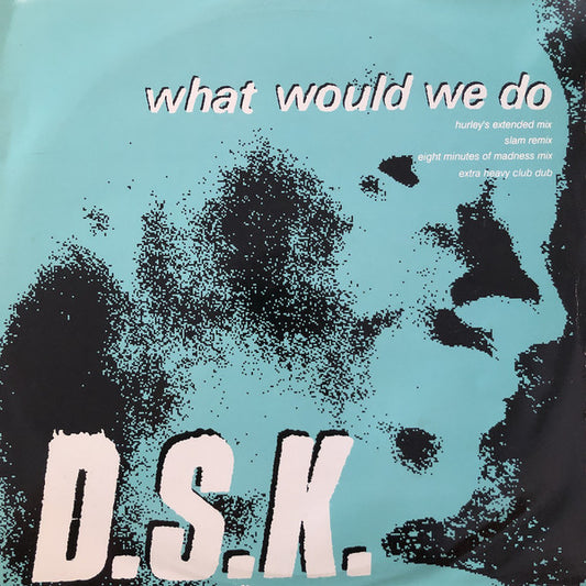 D.S.K.* : What Would We Do (12")