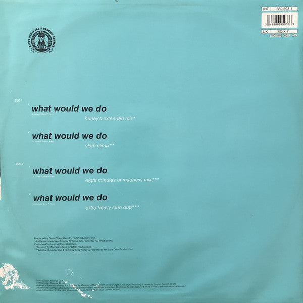 D.S.K.* : What Would We Do (12")