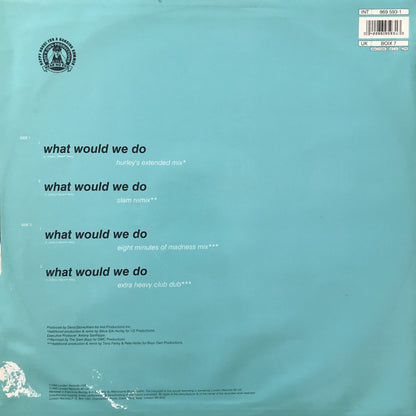 D.S.K.* : What Would We Do (12")