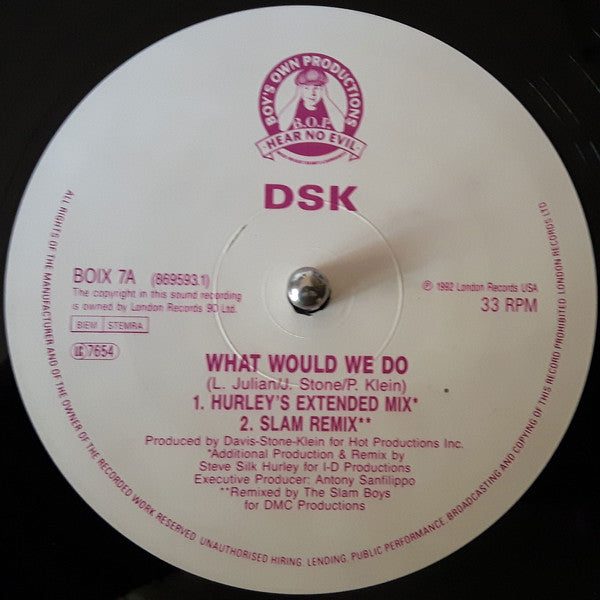 D.S.K.* : What Would We Do (12")