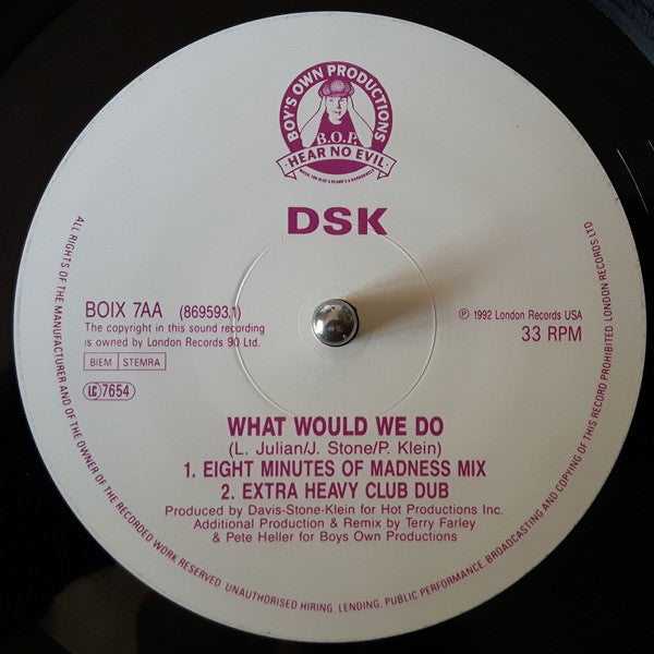 D.S.K.* : What Would We Do (12")